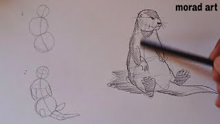 Shape and draw an otter.  Otters with easy and simple steps