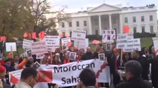 Pro-government Moroccans chanting for the unity with Wester