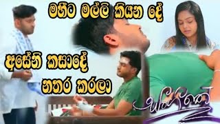 Sangeethe - අසේනි කසාදේ නතර කරලා