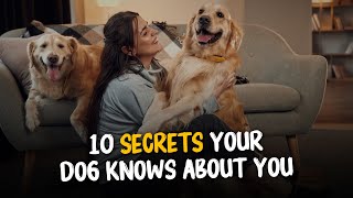 10 Secrets Your Dog Knows About You! 🐾