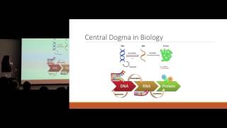 Finding What Fits: The Biochemistry of Drug Design