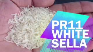 indian basmati rice Quality  production to finish products top variety of basmati rice