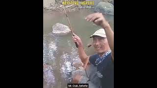 Penampakan Pengganggu Mancingku / Annoys Anglers #Shorts