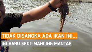 SPOT MANCING TERBAIK / MANCING SANTUY