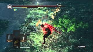 [Dark Souls] d_invader's weak pars exposed + 2 bonus duels