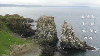 Rathlin Island seabird colony at its peak in early July