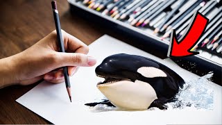 HOW TO DRAW A WHALE