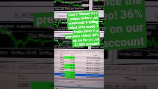 MoneyTree trading robot update - 19th May #trading #tradingrobot #moneytree #forex