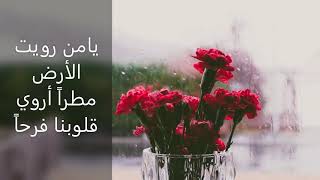 صوت المطر. 🌧🌧🦋Rain ASMR