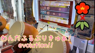 太鼓の達人 わんだふるぷりきゅあ!evolution!! （かんたん/ふつう）フルコンボ 【異難易度双打】