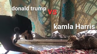 #trending #shorts #funnyshorts#donaldtrump #americanelections #doglover #cat #dogvscatviralvideo