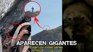 APARECEN VIDEOS de GIGANTES que están PREOCUPANDO a TODOS en TikTok