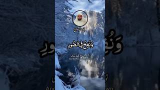 QURAN RECITATION SURAH YASEEN RECITER SHAIKH KHALID JALEEL | قراءة قرآن سورة ياسين