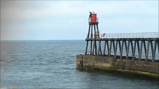 Whitby jumping off the piers. inc landing on a dog, most dangerous red hut and the wife joins in