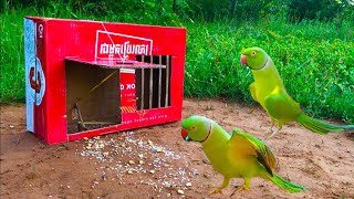 parrot​ Trap  Best using Box - Creative Unique New /​ bird trap