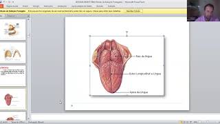 Anatomia Humana - Sistema Digestório