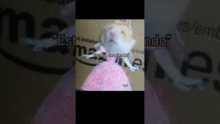 me quedé dormida #tiktok #viral #youtube