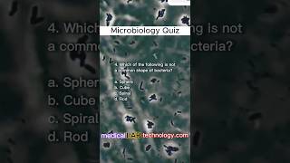 microbiology mcq objective questions answers pdf #dmlt_video #dmlt #mltclasses