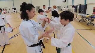 Satori Dojo April Test and Demonstrations