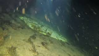 Redondo Beach Night Dive