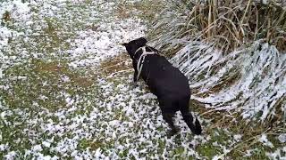 Il neige, et ce n'est pas un poisson d'avril