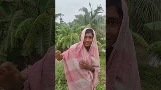 #shorts #Tinku notun video #bengali funny video @pampiyavlog