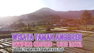 WISATA TAMAN ANGGREK CAMP GROUND GUCI TEGAL