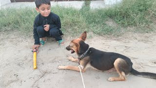 Dog howa bikabo / dog videos @mandivlogwithejaz