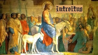 Dominica in Palmis - Domine ne longe (Introit)