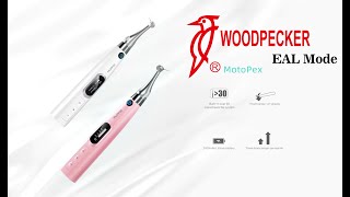 Woodpecker MotoPex  Accuracy of EAL mode - EAL Mode Nasıl Kullanılır