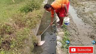 Umpan ikan kakap paling ampuh//Snapper bait most effective