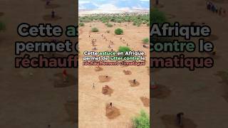 Cette astuce en Afrique permet de lutter contre le réchauffement climatique #nature #environment