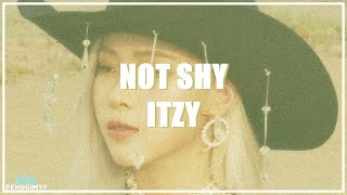 [K-Pop] ITZY (있지) - Not Shy (PT-BR)