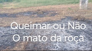 Queimar ou não o mato da roça