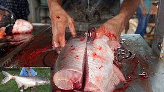 Amazing Fish Cutting Skills | Cutting By Machine | Big Rohu Fish Chopping By Expert Fish Cutter