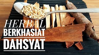 Ramuan Herbal Berkhasiat Dahsyat, Kayu Bajakah, Pasak Bumi, Ketumbar dan Kayu Manis