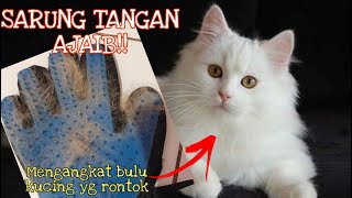 Alat pembersih bulu kucing