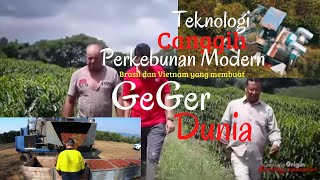 teknologi canggih perkebunan modern Brazil dan Vietnam #kopi #coffee #brasil #vietnam