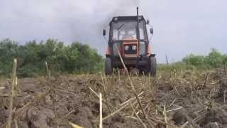 Zetor 7011 & gruber, czyli prace pożniwne 2015