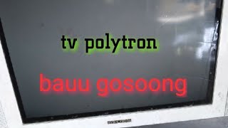 tv polytron bau gosong