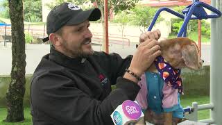 LANZAN A PERRITA AL RÍO GOTITAS SE SALVÓ Y AHORA VIVE FELIZ