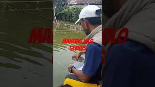 Mancing Kilo Gebrus