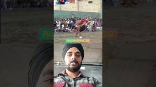 ਆ ਕੀ ਹੋ ਗਿਆ ਜਾਫੀ ਨਾਲ 😱😱 #shorts #punjabisong #trendingshorts #tiktok #viralvideo