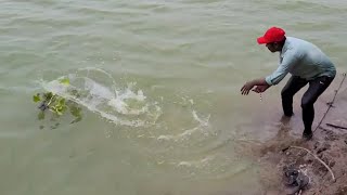 HOW TO CATCHING By 🎣BiG ROHU FLOAT FISHING TECHNIQUES AND SINGLE HOOK