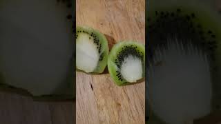 Half a green kiwi.