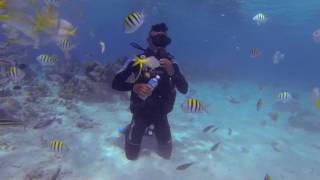 Scuba Diving in Cuba at El Cenote