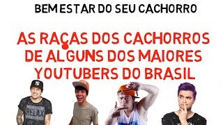 As raças dos cachorros dos youtubers