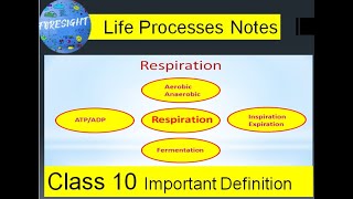 Important Definitions of Biology for 10th Class Students Respiration