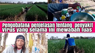 pengobatan& penjelasan tentang virus selama ini yang sudah mewabah luas,bagaimana perlakuannya??