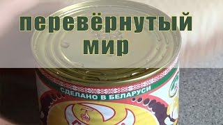 Перевёрнутый Мир №1 | Reverse World